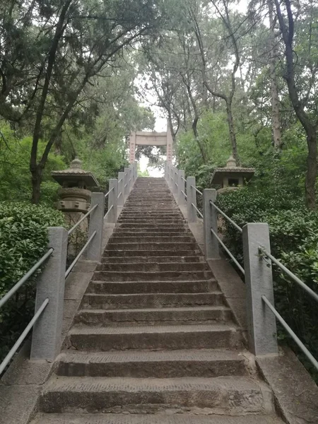 Escaleras Parque — Foto de Stock