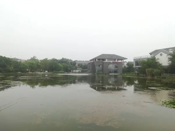 Vista Del Lago Por Mañana — Foto de Stock