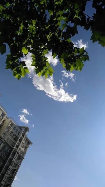 Vista Ciudad Barcelona — Foto de Stock