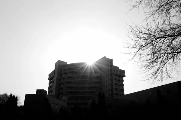 Edificio Moderno Ciudad — Foto de Stock