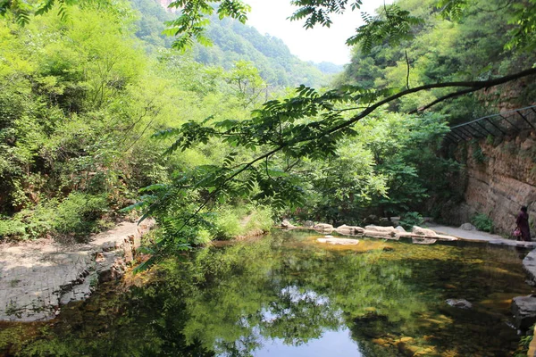 Hermoso Río Tropical Bosque — Foto de Stock