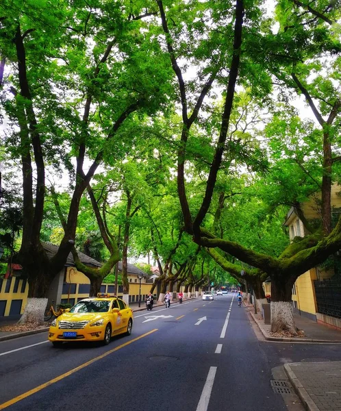 Camino Parque Ciudad — Foto de Stock