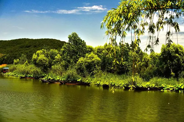 Hermoso Paisaje Del Lago Parque — Foto de Stock