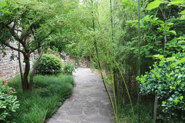 Zielony Ogród Parku — Zdjęcie stockowe