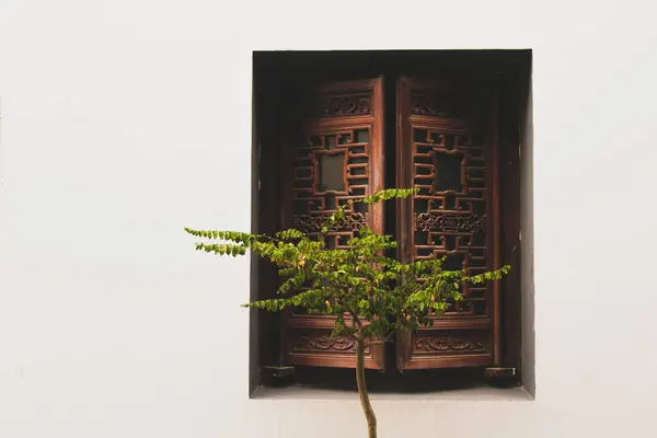 Ventana Madera Con Flores Fondo — Foto de Stock