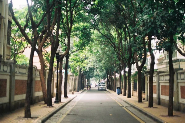 Hermosa Vista Del Parque — Foto de Stock