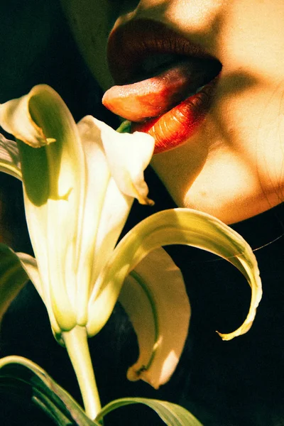 Piękne Lilia Kwiaty Płatki — Zdjęcie stockowe