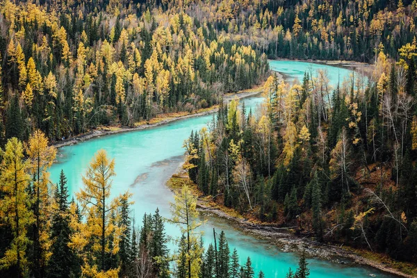 Bellissimo Lago Nella Foresta — Foto Stock