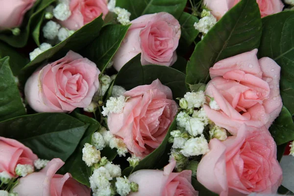 Piękne Różowe Róże Bukiecie — Zdjęcie stockowe