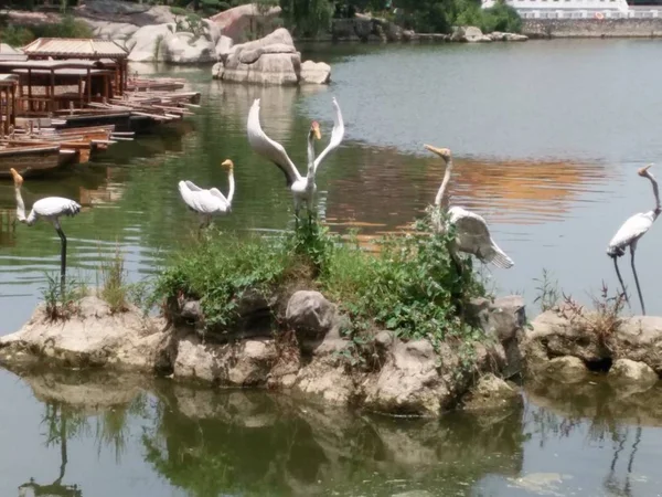 Lago Natureza Paisagem Fundo — Fotografia de Stock