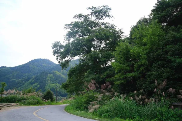 Vista Panorâmica Bela Paisagem Com Vegetação — Fotografia de Stock