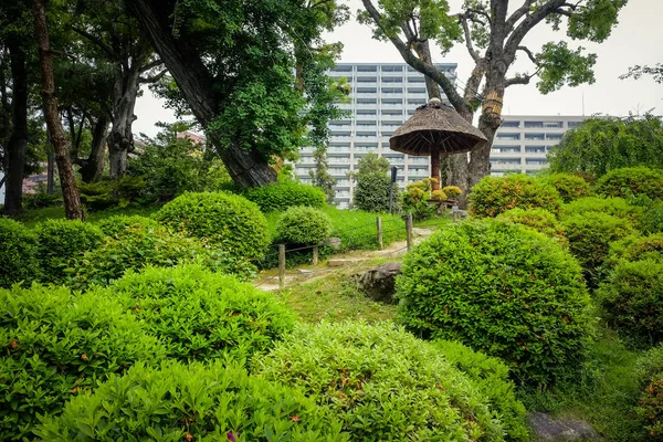 Hermosa naturaleza coloridas hojas de árboles en el jardín zen japonés
