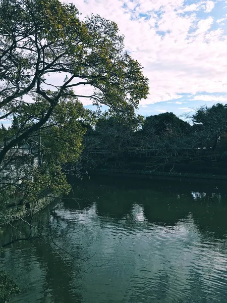 beautiful green lake in the park