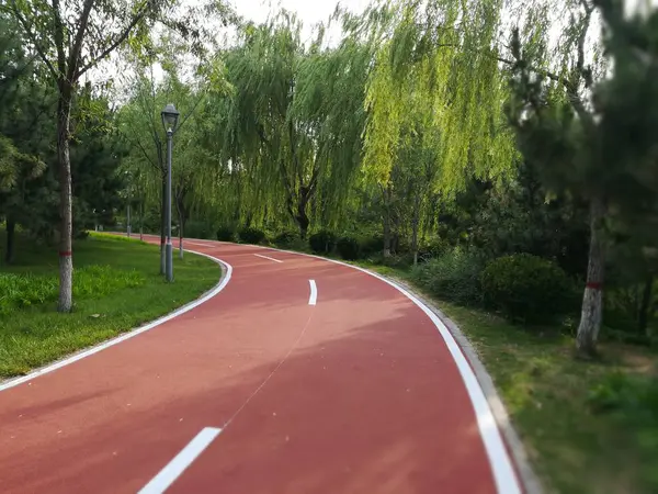 Camino Parque — Foto de Stock