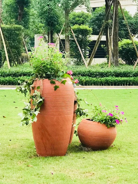 garden pots with green grass