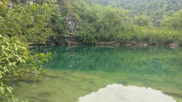 Pintoresca Vista Del Hermoso Lago Bosque — Foto de Stock