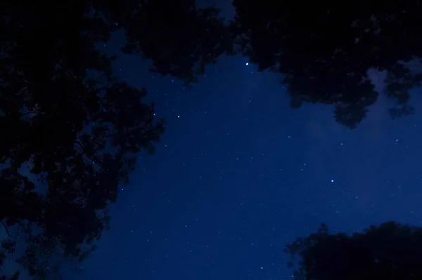 Cielo Nocturno Con Estrellas Estrellado — Foto de Stock