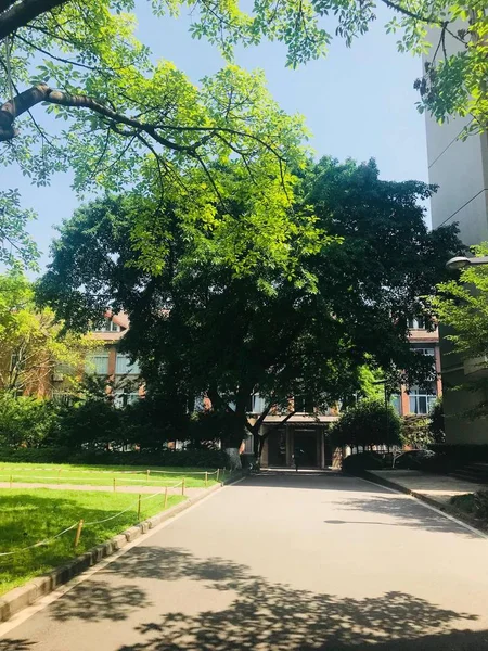 Hermosa Vista Del Parque Ciudad — Foto de Stock