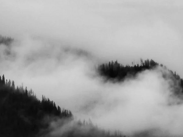 black and white clouds in the fog