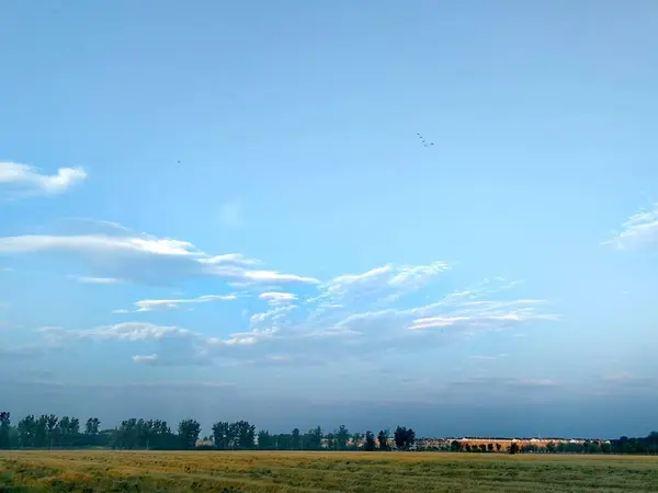 Hermoso Paisaje Con Árbol Campo Nubes — Foto de Stock