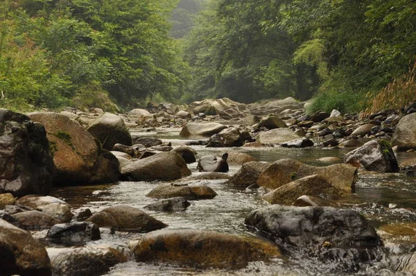 Hermoso Paisaje Majestuosas Montañas — Foto de Stock