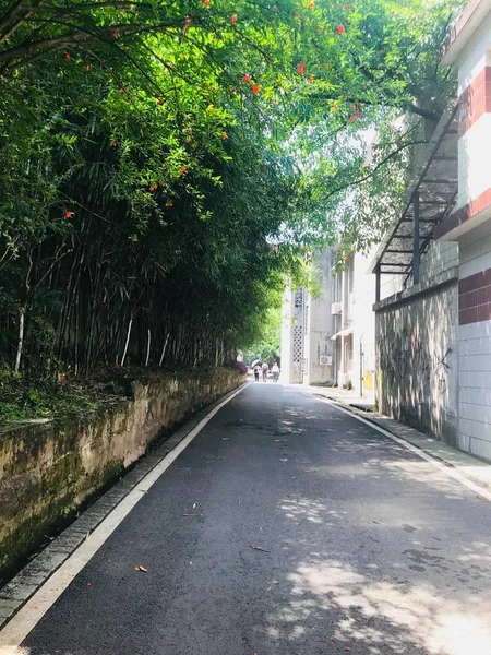 Camino Vacío Parque — Foto de Stock