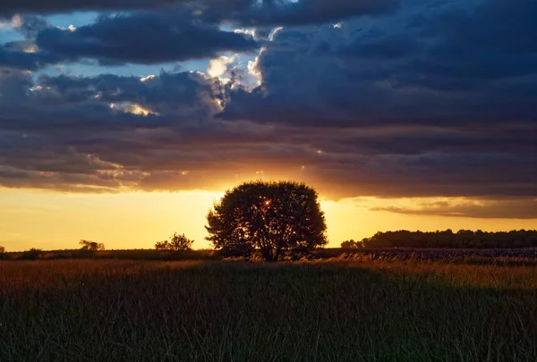 Por Sol Sobre Campo Sol — Fotografia de Stock