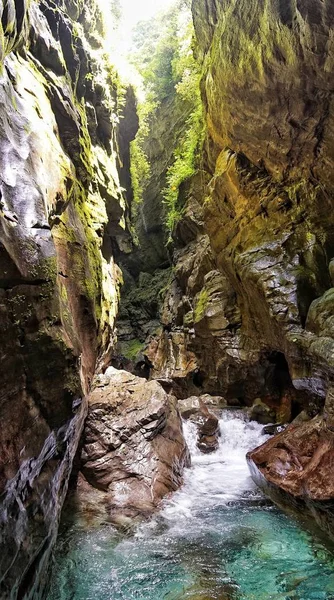 森林中美丽的山川风景如画 — 图库照片