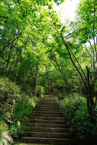 Hermoso Paisaje Fondo Naturaleza — Foto de Stock