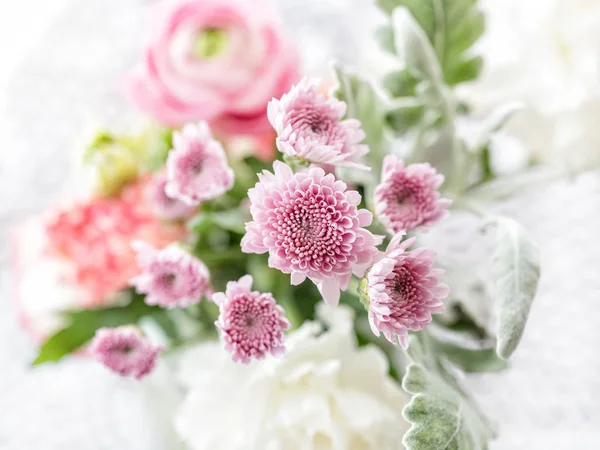 Vista Cerca Hermosas Flores Primavera Pétalos Floreciendo Jardín — Foto de Stock