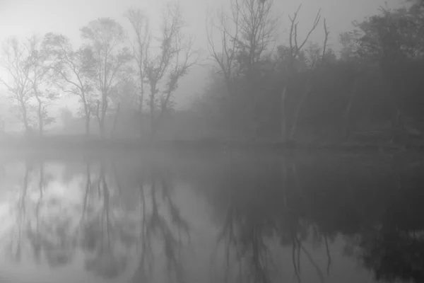 Mattina Nebbiosa Nella Nebbia — Foto Stock