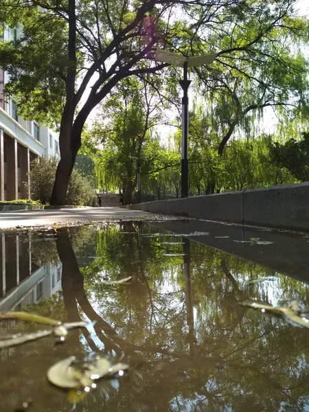 Hermosa Vista Del Parque Ciudad — Foto de Stock