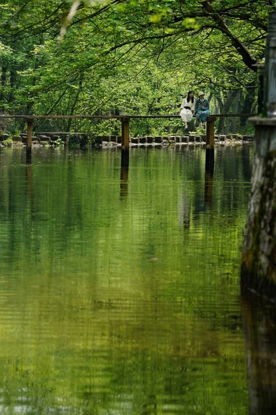 Lake Reflection Park — Stock Photo, Image