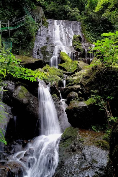 waterfalls and waterfall in the forest