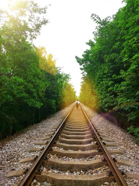 Trilhas Ferroviárias Vazias Perto Cidade — Fotografia de Stock