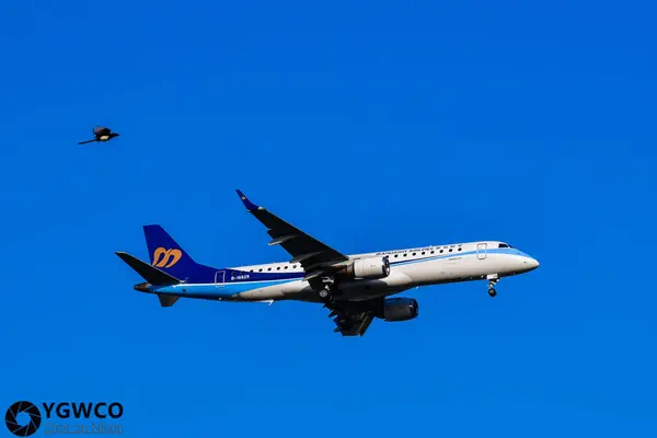 Avión Volador Cielo Avión Aviación — Foto de Stock