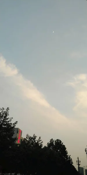 Cielo Hermoso Atardecer Con Nubes Árboles — Foto de Stock