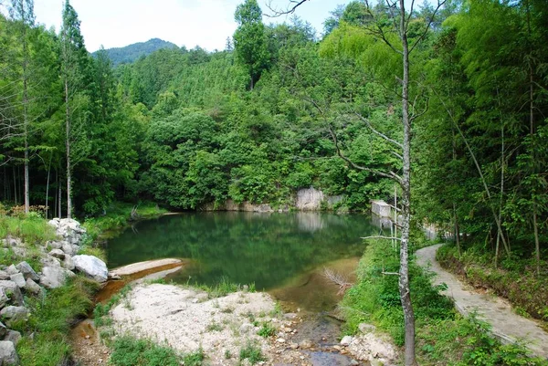 Pintoresca Vista Del Río Montaña Bosque — Foto de Stock