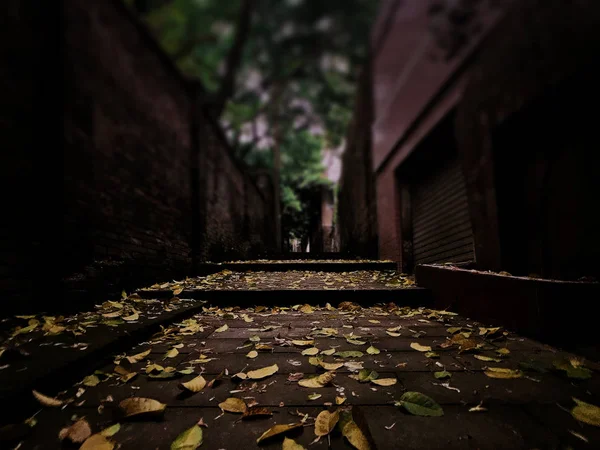 Vieja Calle Abandonada Ciudad — Foto de Stock