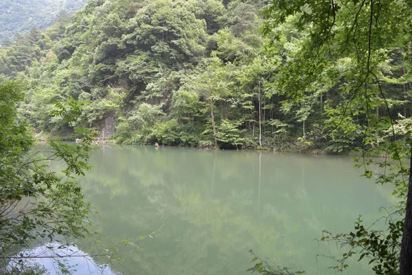 Peisaj Frumos Râu Copaci — Fotografie, imagine de stoc