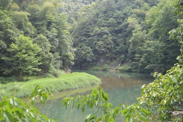 Pintoresca Vista Del Río Montaña Bosque — Foto de Stock