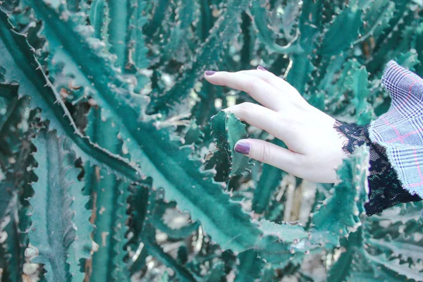 hand of woman cleaning the window with green plants