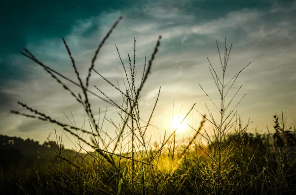 Hermoso Atardecer Campo — Foto de Stock