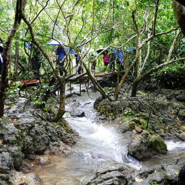 Río Montaña Bosque — Foto de Stock