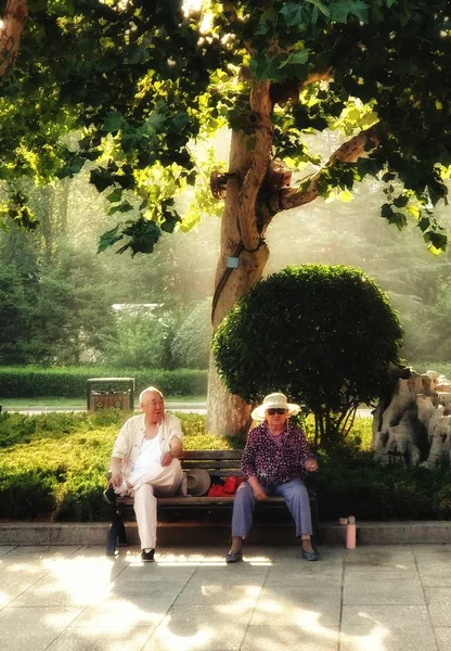 Pareja Ancianos Enamorados Sentados Banco Parque — Foto de Stock