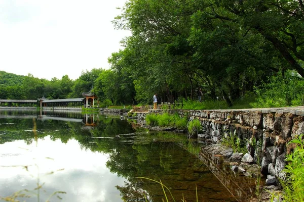 Hermoso Estanque Parque — Foto de Stock