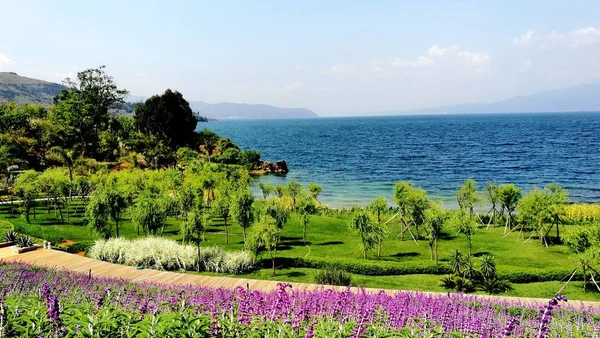 Hermoso Paisaje Fondo Naturaleza — Foto de Stock