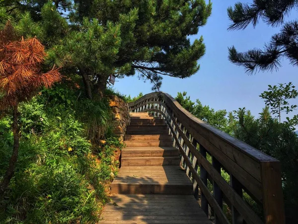 Hermoso Paisaje Del Parque Ciudad Tailandia — Foto de Stock