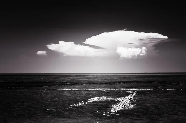 black and white clouds over the sea