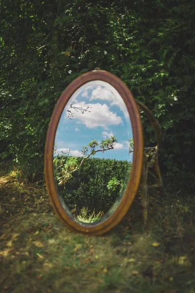 mirror through the window in the forest